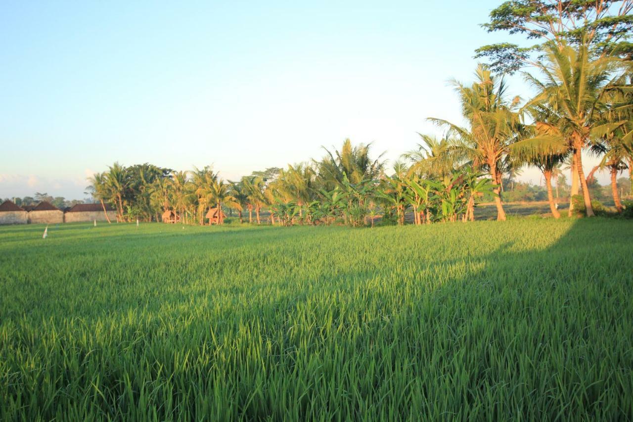 Ayuna Family Ubud Εξωτερικό φωτογραφία