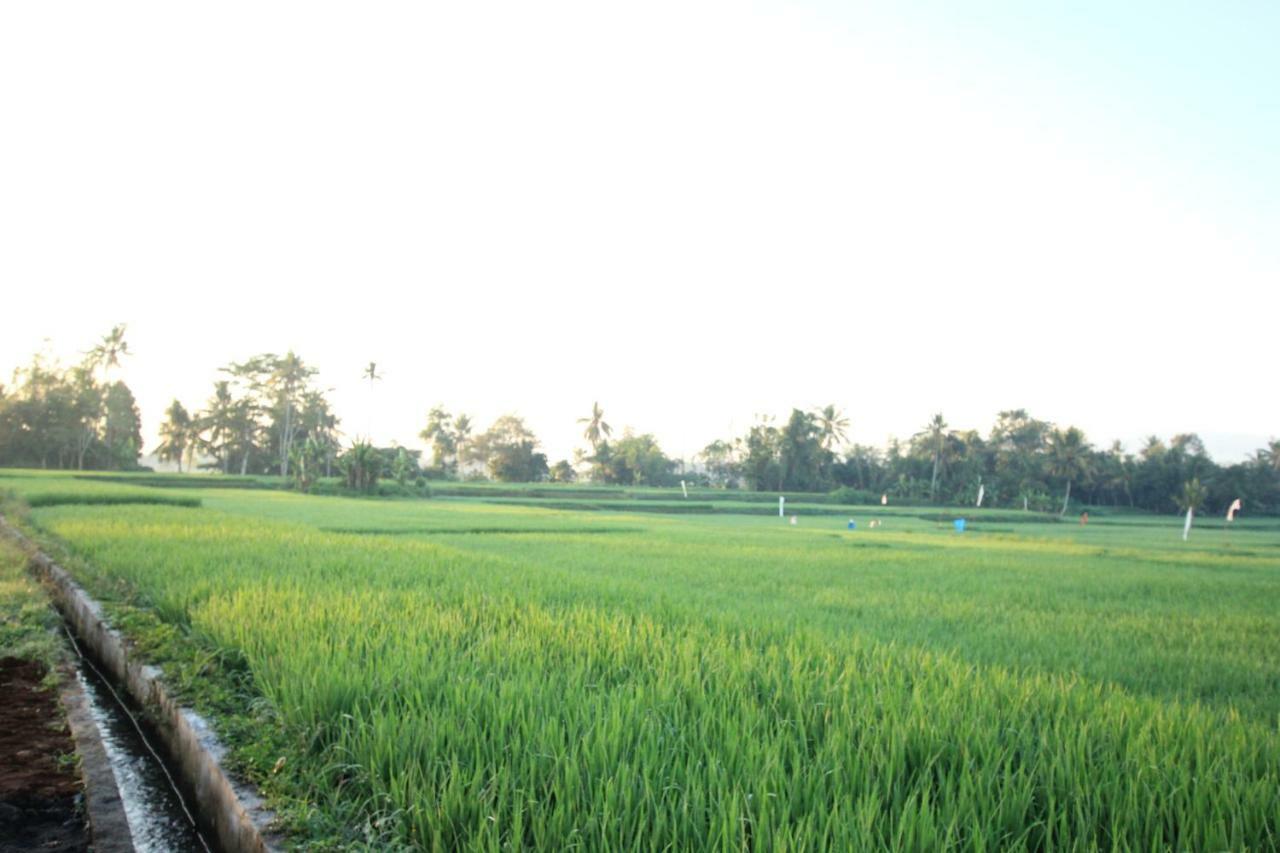 Ayuna Family Ubud Εξωτερικό φωτογραφία