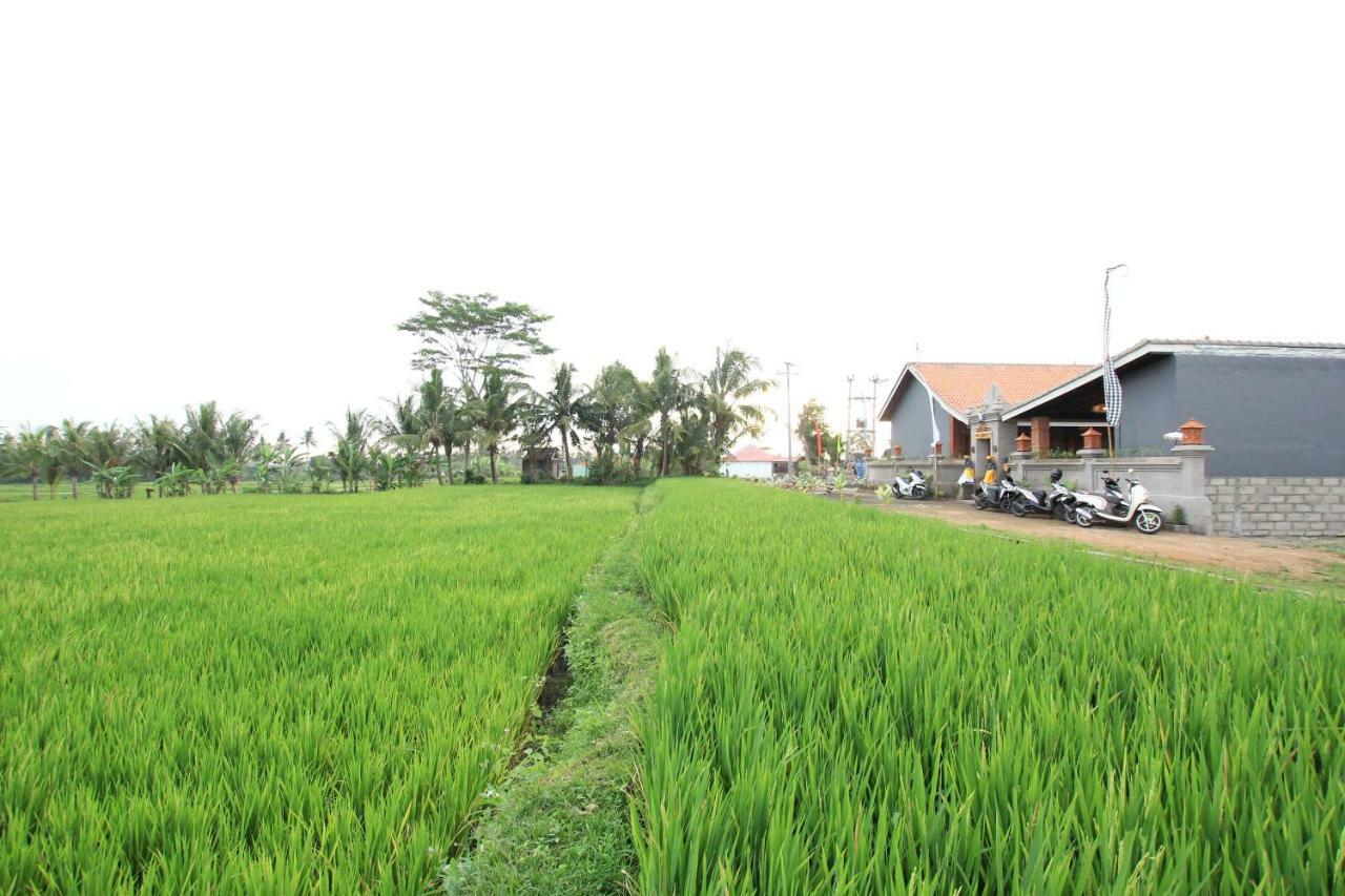 Ayuna Family Ubud Εξωτερικό φωτογραφία