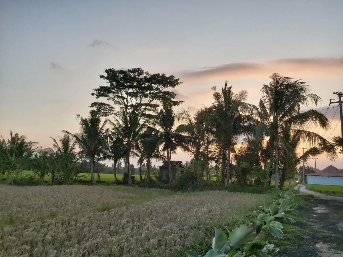 Ayuna Family Ubud Εξωτερικό φωτογραφία