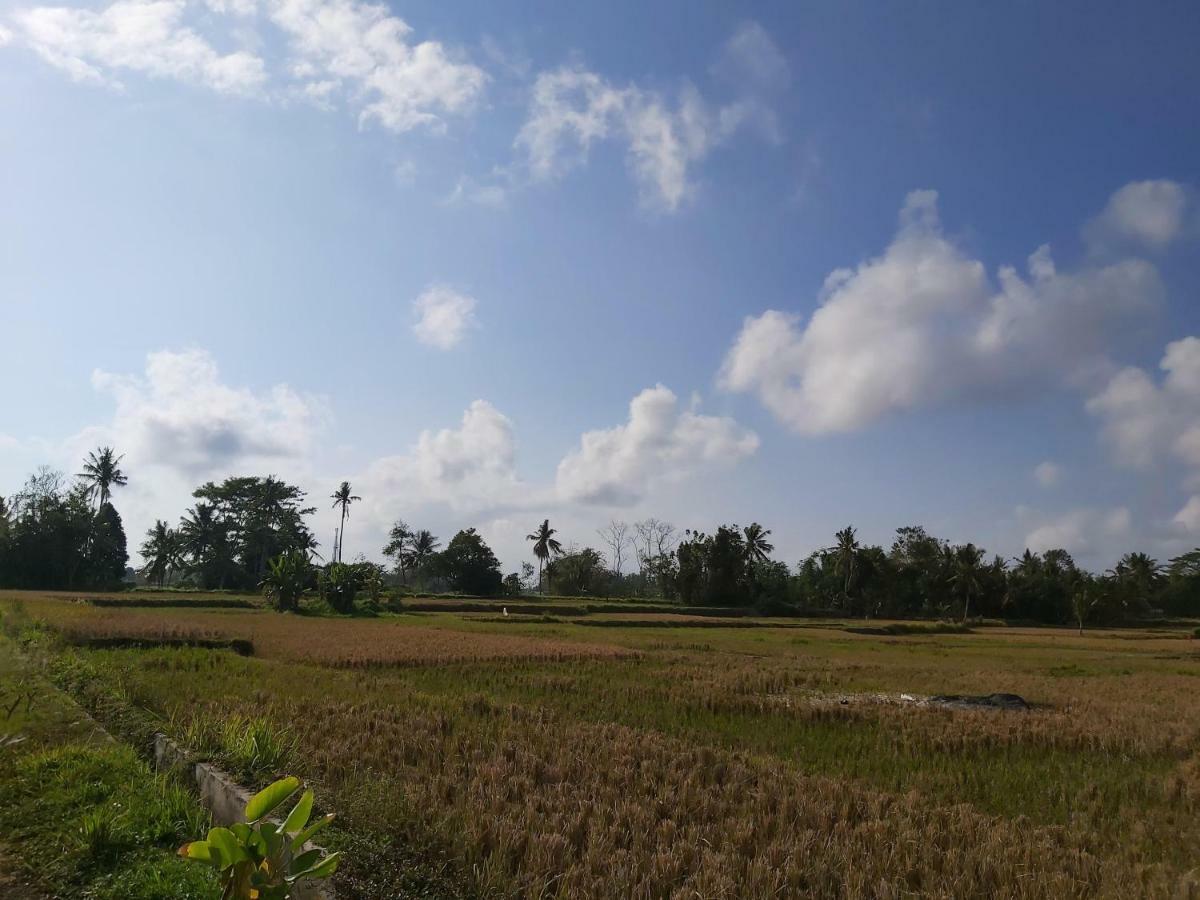 Ayuna Family Ubud Εξωτερικό φωτογραφία
