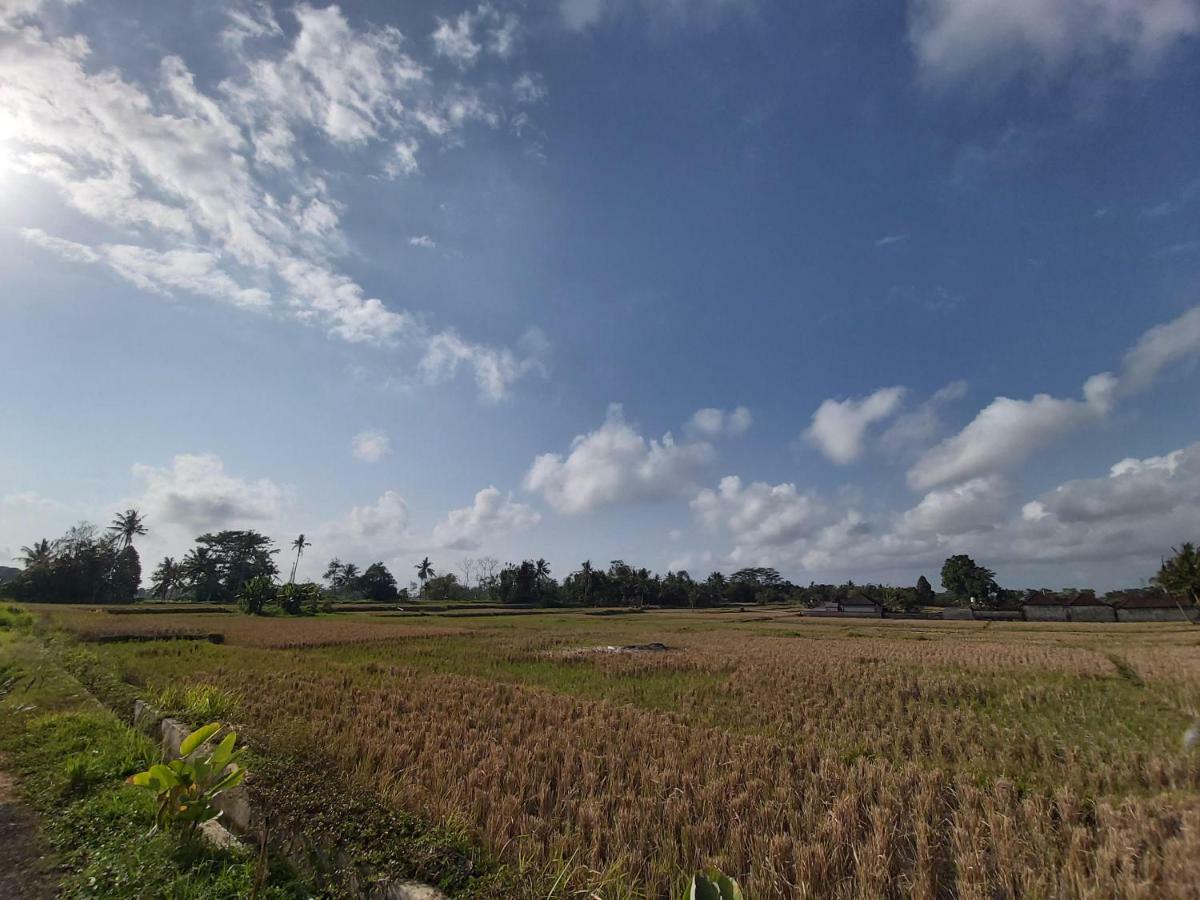 Ayuna Family Ubud Εξωτερικό φωτογραφία
