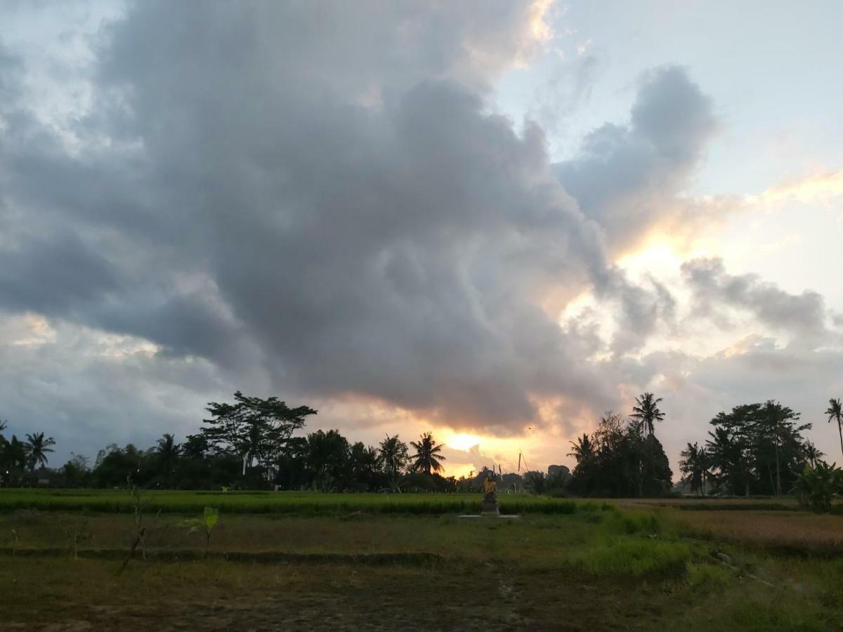 Ayuna Family Ubud Εξωτερικό φωτογραφία